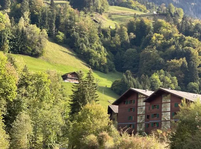 Studio , Val-D\'Illiez